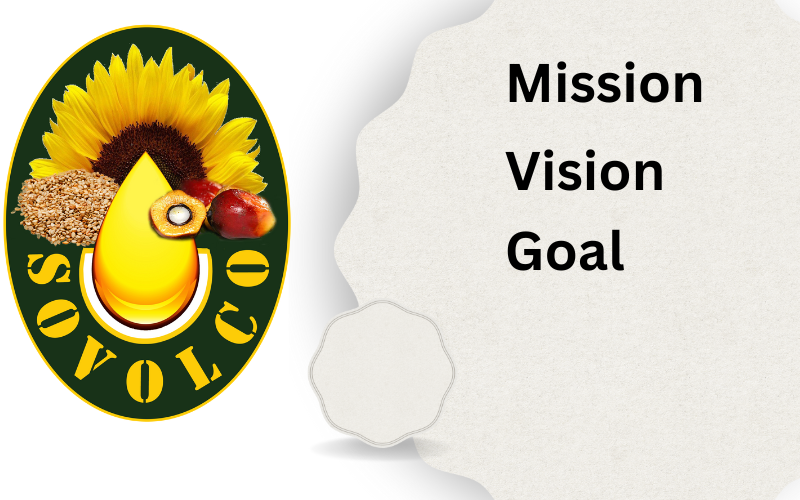 You are currently viewing Mission Vision and Goals